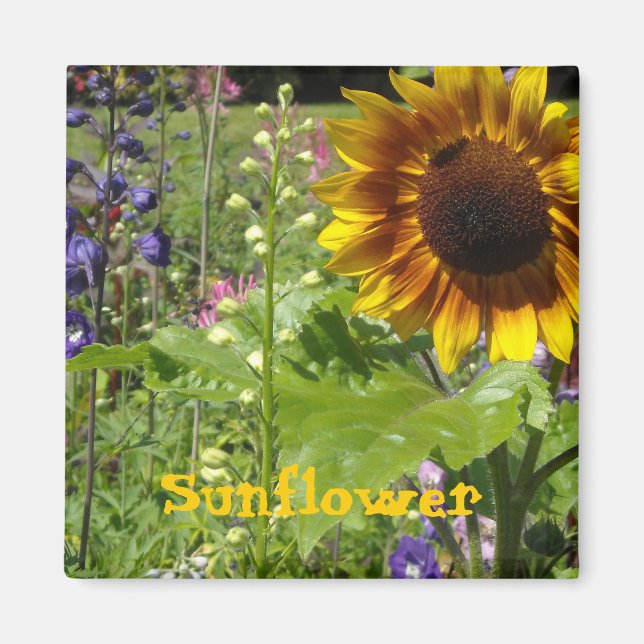 Aimant Tournesol ensoleillé (Devant)