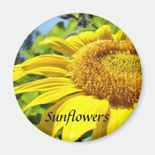 aimant tournesol Été floral tournesol magnets