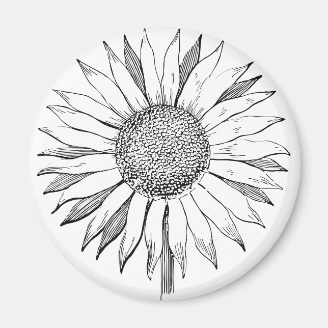 Aimant Tournesol illustré (Devant)