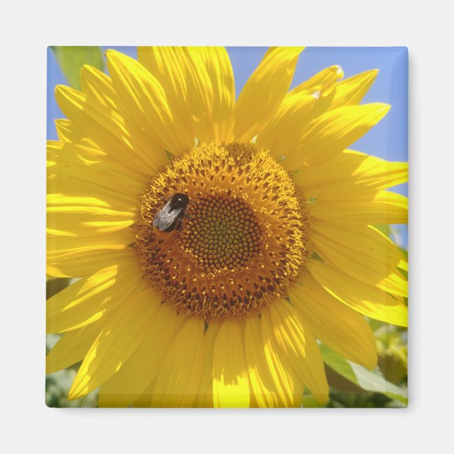 Aimant Tournesol jaune (Devant)