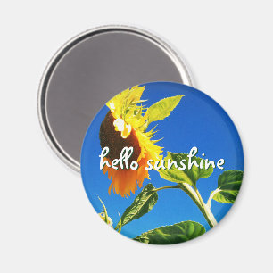 Aimant Tournesol Jaune Photo Hello Sunshine Script Bold