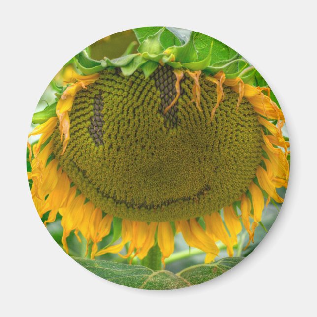 Aimant Tournesol souriant (Devant)