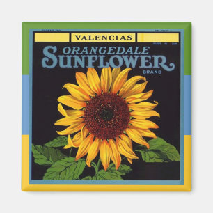 Aimant Tournesol VINTAGE de la publicité de caisse de