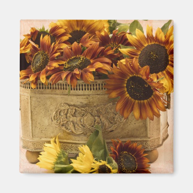Aimant Tournesols Orangés En Panier À Tin (Devant)