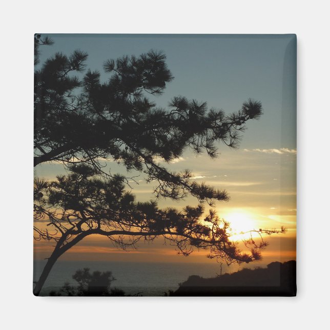 Aimant Tourrey Pine Sunset I California Paysage (Devant)