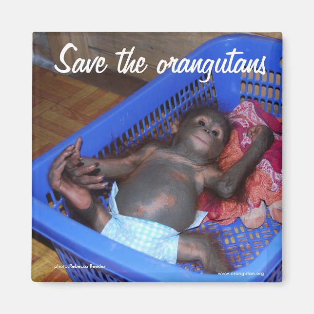 Aimant Tous les bébés ont besoin d'amour (Devant)