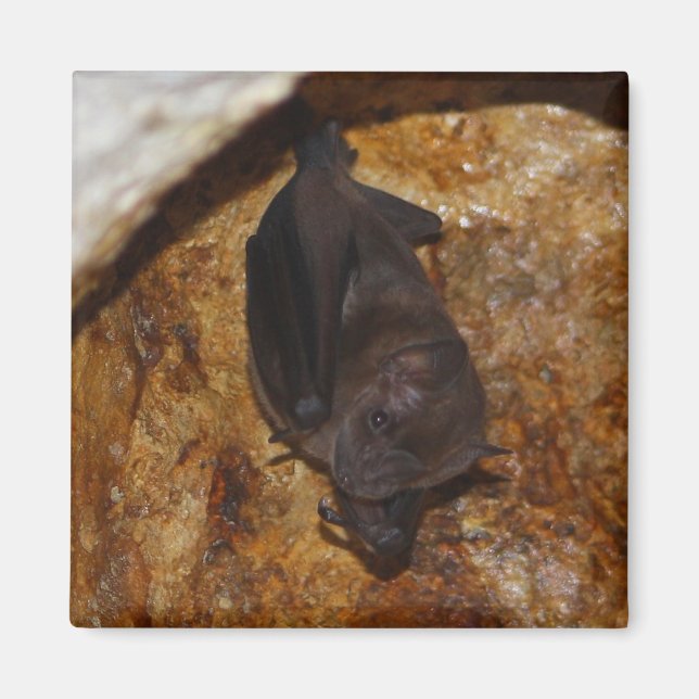 Aimant Tout seul (Devant)