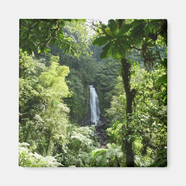 Aimant Trafalgar Falls Tropical Rainforest Photographie (Devant)