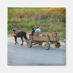 Aimant Transport de la Roumanie, du cheval et du chariot