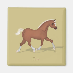 Aimant Traverser Sorrel Foal Gaits of the Horse