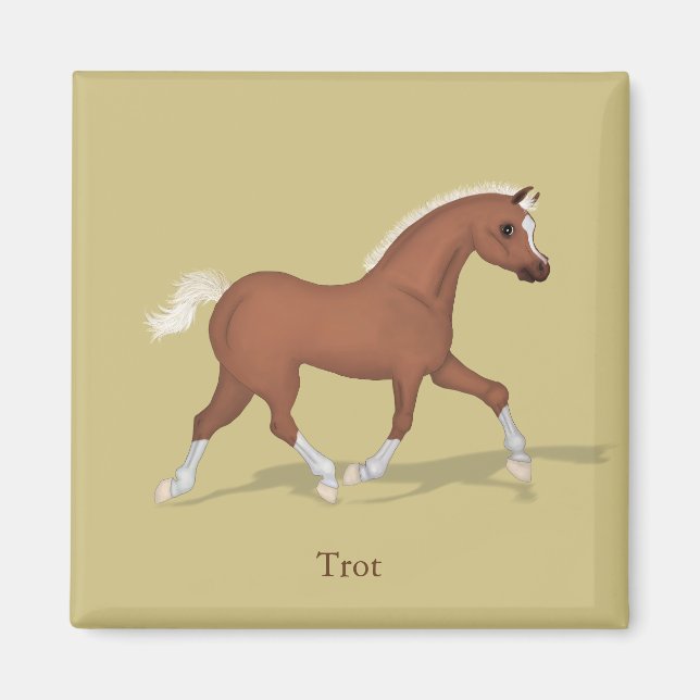 Aimant Traverser Sorrel Foal Gaits of the Horse (Devant)