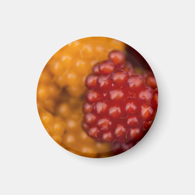 Aimant Très Berry (Devant)