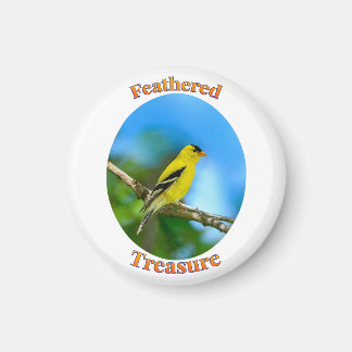 Aimant Trésor emplumé - Chardonneret jaune américain