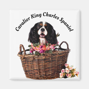 Aimant Tri Couleur Cavalier King Charles Spaniel Chien