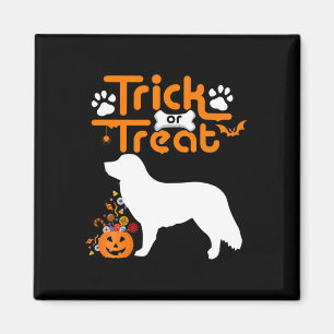 Aimant Trick Ou Traiter Canard Tolling Retriever Chien Ha