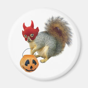 Aimant Tricoter ou traiter l'écureuil