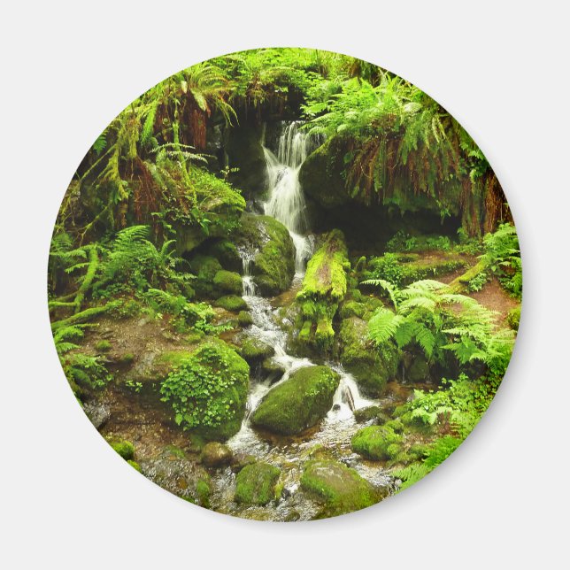 Aimant Trillium Falls (Devant)