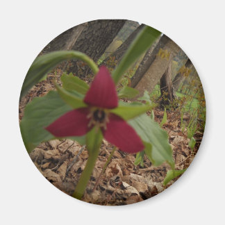 Aimant Trillium rouge