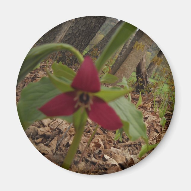 Aimant Trillium rouge (Devant)