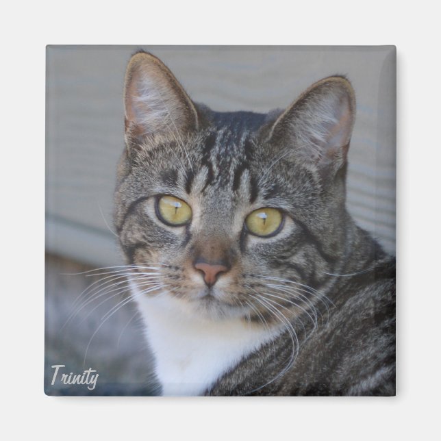 Aimant Trinity (Devant)