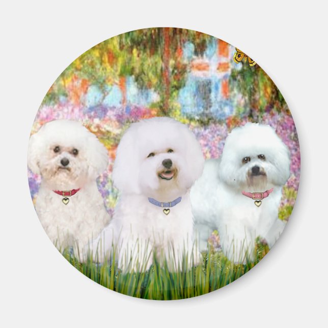 Aimant Trio de Bichon Frise - Jardin (VG) (Devant)