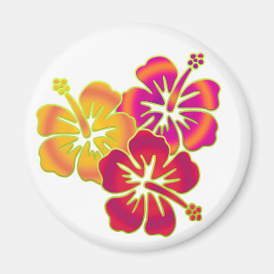 Aimant trio d'hibiscus