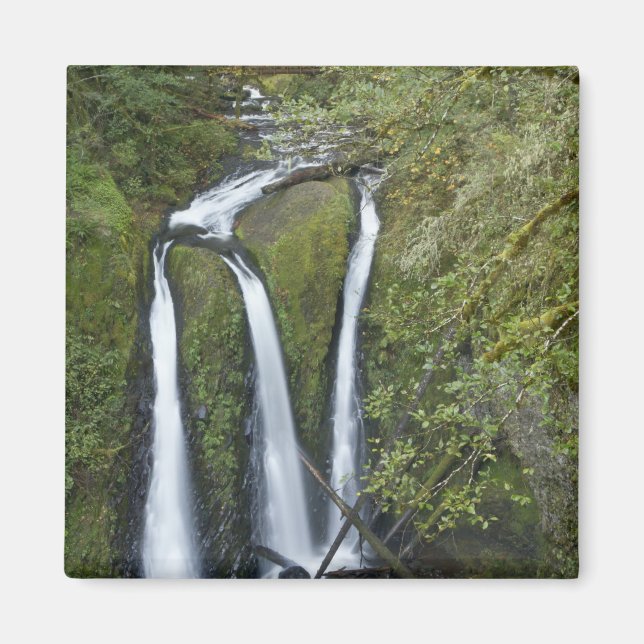 Aimant Triple Falls, gorge du Columbia (Devant)