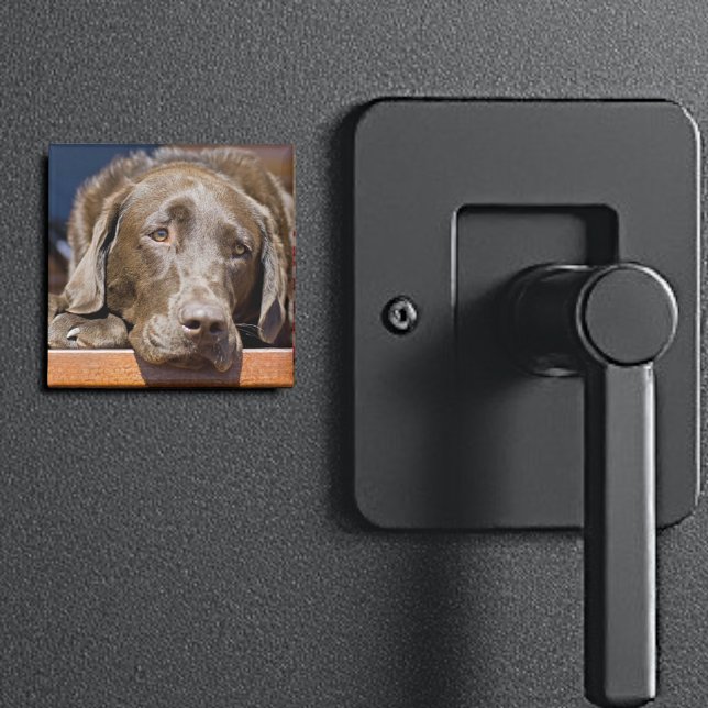 Aimant Triste chocolat Labrador (2" square Labrador retriever magnet)