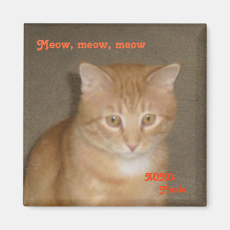 Aimant Triste visage