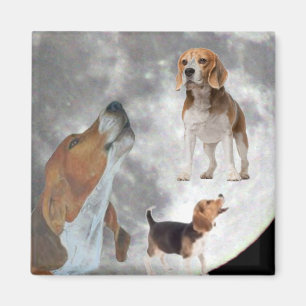 Aimant Trois Beagles et l'aimant de la lune