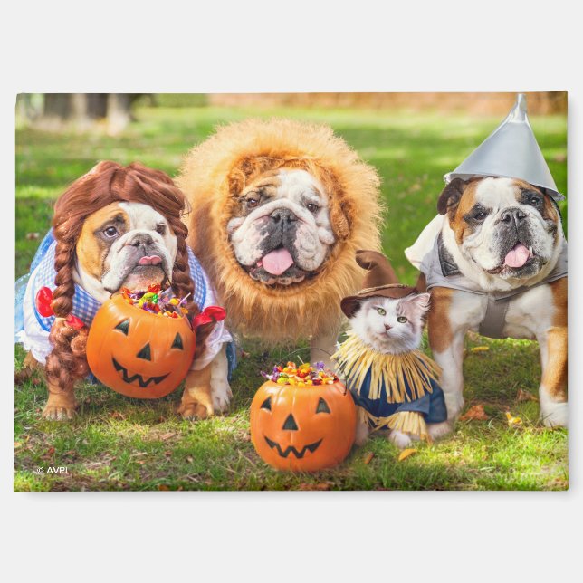 Aimant Trois Bulldogs en costumes (Recto)