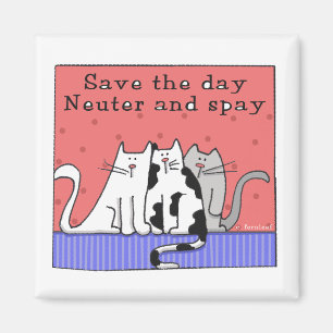 Aimant Trois chats Neuter et Spay