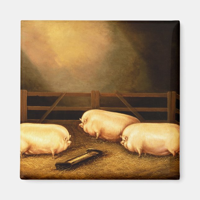 Aimant Trois Cochons à l'extérieur d'un Sty (Devant)