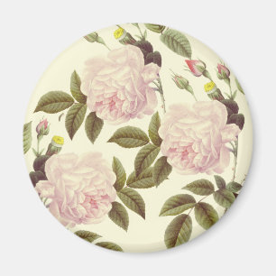 Aimant Trois crèmes Roses