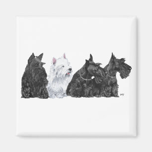 Aimant Trois Curious Scotties et un Westie