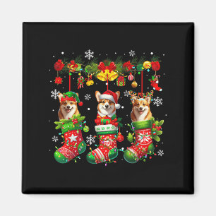 Aimant Trois Père Noël Elf Corgis dans Xmas Chaussettes P