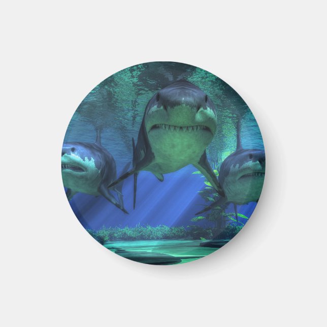 Aimant Trois requins (Devant)