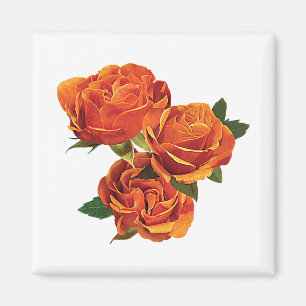 Aimant Trois roses oranges
