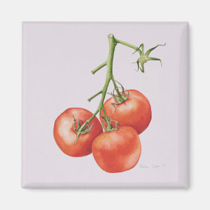 Aimant Trois tomates sur la vigne 1997