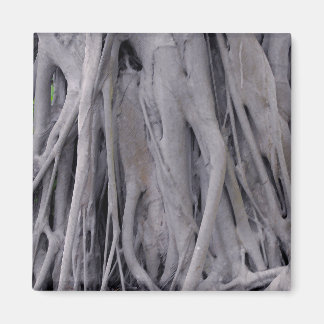 Aimant Tronc d'arbre de Banyan