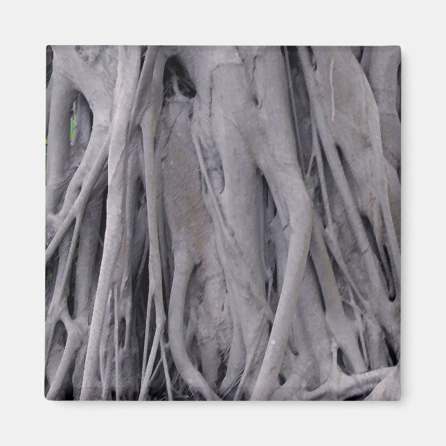Aimant Tronc d'arbre de Banyan (Devant)