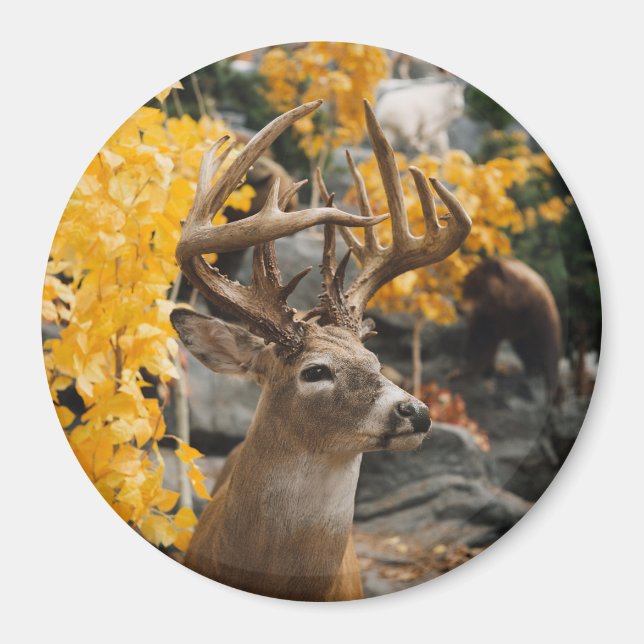 Aimant Trophée Deer (Devant)