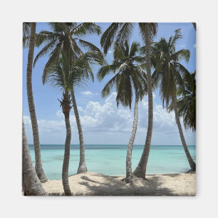 Aimant tropical