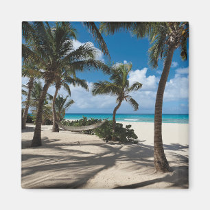 Aimant Tropical Beaches   Anguilla Beach, Palm Tree