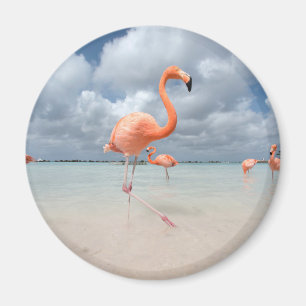 Aimant Tropical Beaches Flamingos Beach, Aruba
