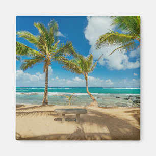 Aimant Tropical Beaches Kuau Cove Beach, Maui Hawaii
