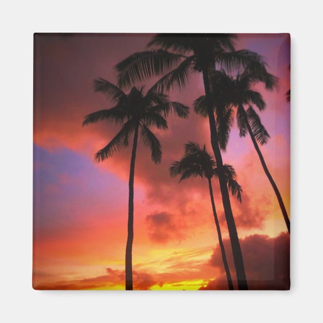 Aimant Tropical Beaches | Maui Hawaii Islands (Devant)