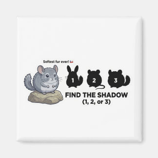 Aimant Trouvez la quête de l'animal Chinchilla de l'ombre