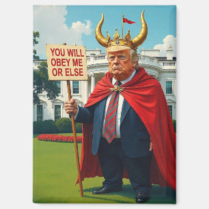 Aimant Trump anti-roi