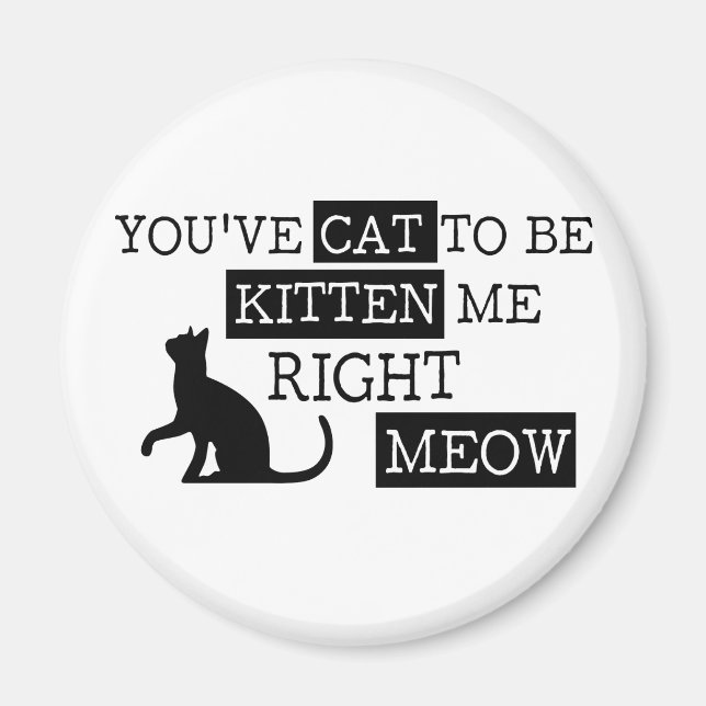 Aimant Tu dois être chatte pour être kitten meow drôle (Devant)